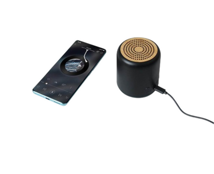 Asperg Recycled Bluetooth Speakers
