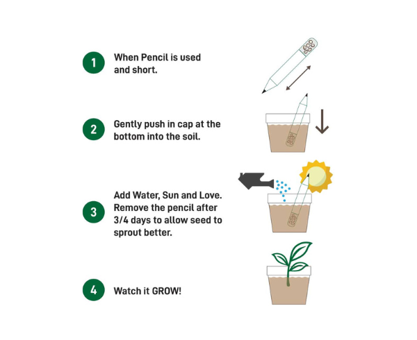 Plant A Pencil Sets